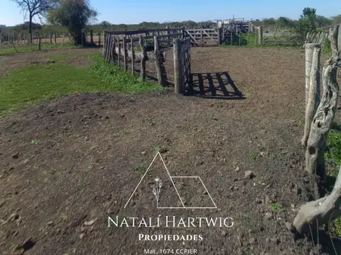 Campo en Venta con Alambrado