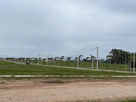 Terreno en Venta 12  mts Frente