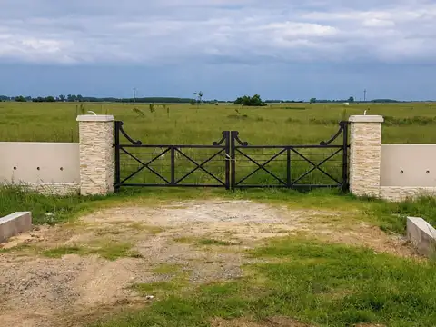 Lote  2 hectáreas  en Venta - Ruta 2 Brandsen