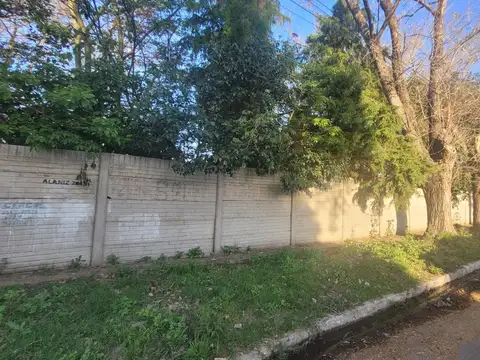 Felix Lope De Vega 500