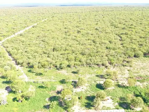 Campo 180 ha Ganadero en Venta Villa de Soto