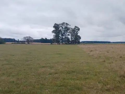 Terreno en Venta de 1461,0 m2