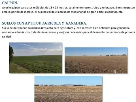Campo en Pergamino
