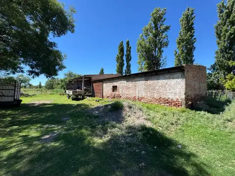 VENTA DE CAMPO DE ALFALFA SAN RAFAEL 22 HECTAREAS