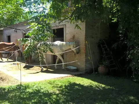 2 cuadras de ruta 25 y 12 cuadras de panamericana.-