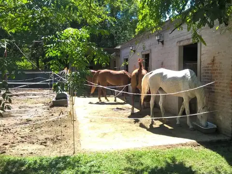 Casa en Venta 15 años