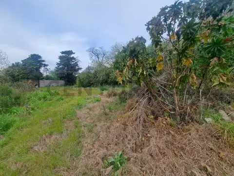 Terreno en Venta de 491,0 m2