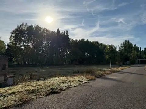 Terreno en Venta en Plottier, USD 45.000