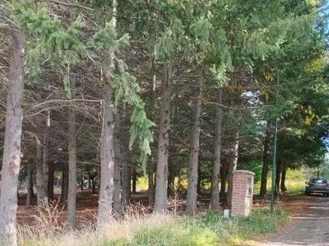 Terreno en Venta 87  mts Fondo