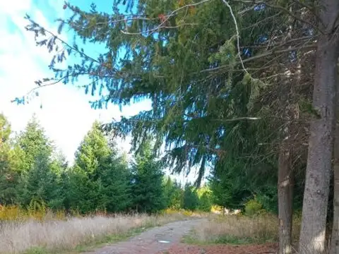 Terreno en Venta de 3741,0 m2