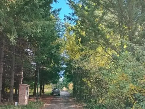 Terreno en Venta en Las Golondrinas, Cushamen
