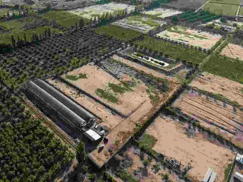 INVERSIÓN CAMPO INVERNÁCULO Y OLIVOS MAIPÚ RUTA 60