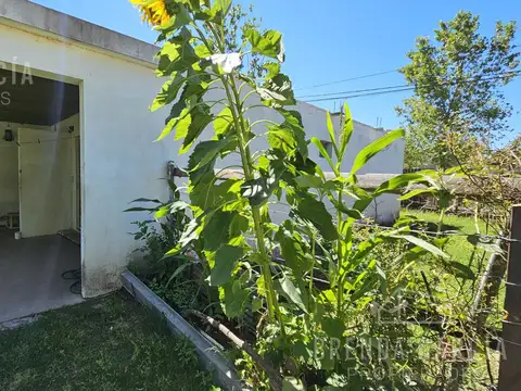 2 Departamentos con Terreno Libre - Colon