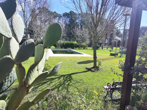 La Golondrina y El Picaflor