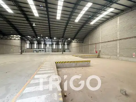 Galpon en Alquiler 40  mts Frente