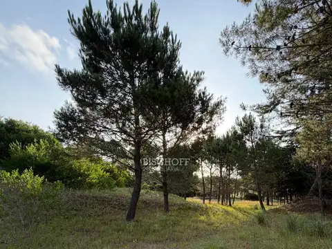 Terreno en Venta en Norte, USD 1.200.000