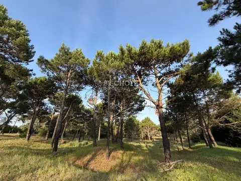 Terreno en Venta de 30000,0 m2