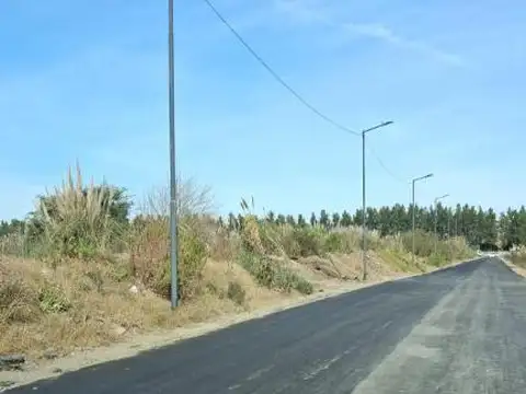 Terreno en Alquiler de 10000,0 m2