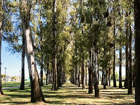 Terreno en Venta en General Lagos, USD 29.108