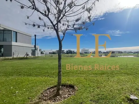 VENTA LOTE EN NAUDIR