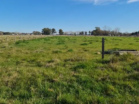 Hectarea sobre El cardenal, barrio el Martillo, Marcos Paz.