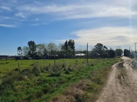 El Cardenal