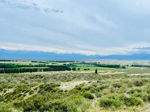 Terreno de 20.000 mts2 