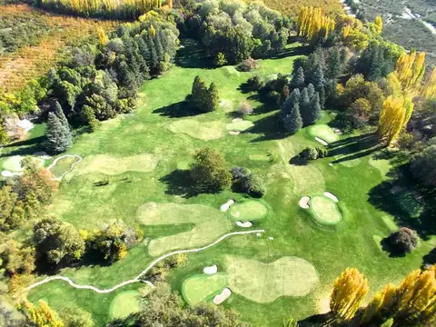Terreno de 20.000 mts2