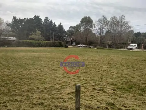 Rafael Obligado al 400