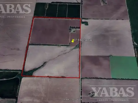 VENTA - CAMPO - 37.5 HECTAREAS - SAN PEDRO (BUENOS AIRES)