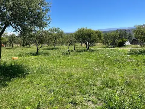 VENTA LOTE AMBOY 675 M2