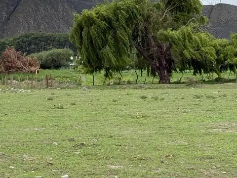 Terreno en Venta de 2332,0 m2