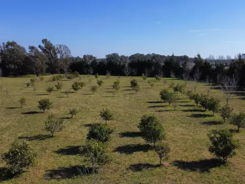 Terreno en Venta en Chacras Del Parana, USD 53.000