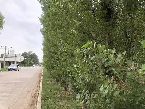 Terreno en Venta de 750,0 m2