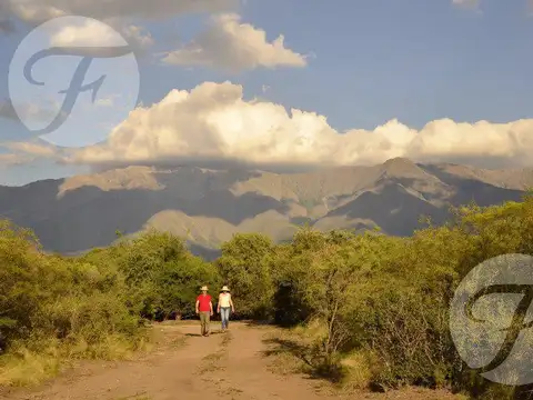 Terreno en Venta de 5000,0 m2