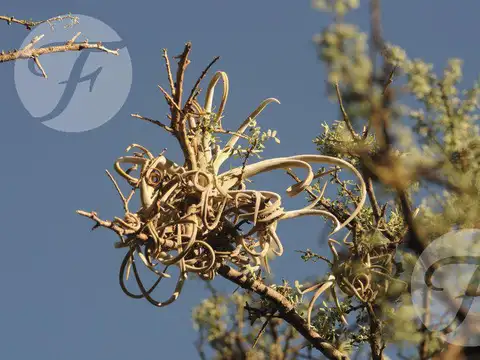 Reserva Ecológica (cba)