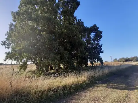 Terreno en Venta en Benito Juarez, USD 36.000