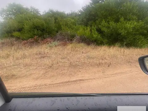 Terreno en Venta de 1000,0 m2