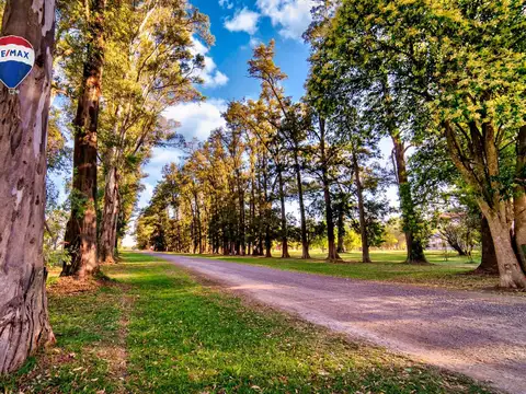 VENTA LOTE 1018M2 B° NORTE TRES PINOS G. RODRIGUEZ