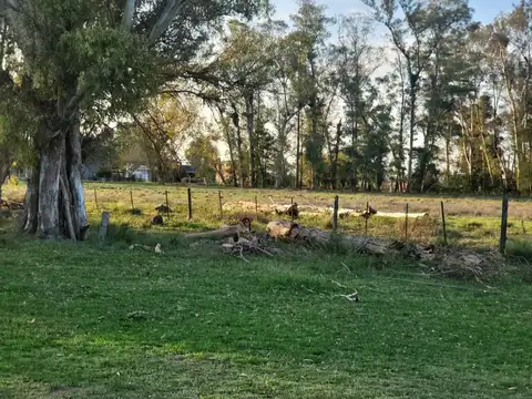 El Remanso 100