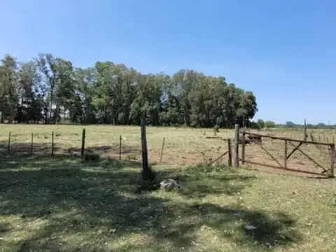 Terreno en Venta de 1500,0 m2