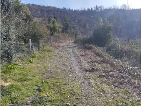 Terreno en Venta 100  mts Frente