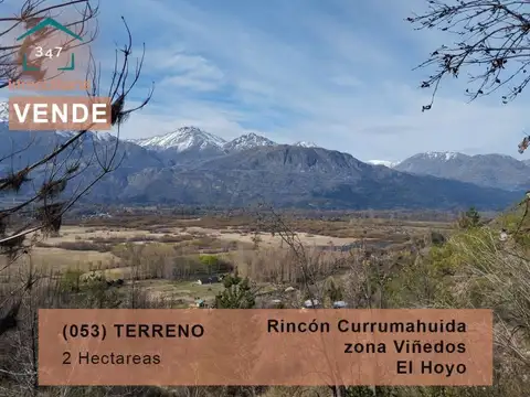 (053) EL HOYO (Rincon Currumahuida) Terreno 2Has. Zona de Viñedos