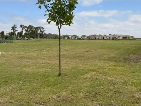 Terreno en Venta de 1019,0 m2