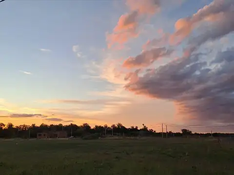 Terreno en Venta 31  mts Frente