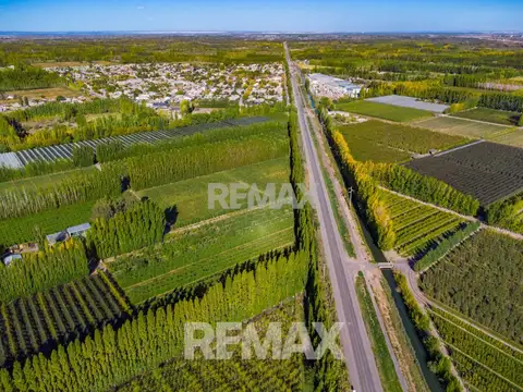 VENTA CHACRA 19 HECT FRENTE RUTA VILLA MANZANO