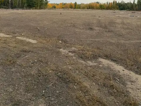 Terreno en Venta de 75000,0 m2