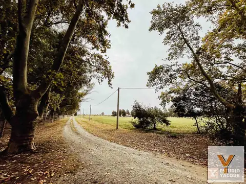 Terreno en Venta de 1713,0 m2