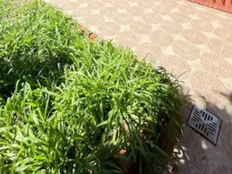 Depto Tipo Casa en Venta de 2 ambientes