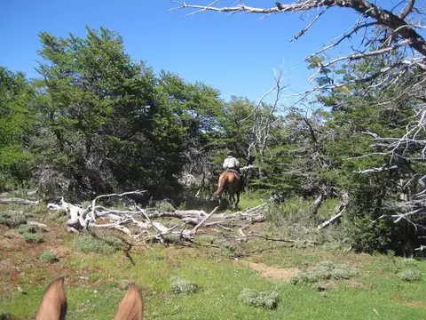 Ruta 15 Km 8